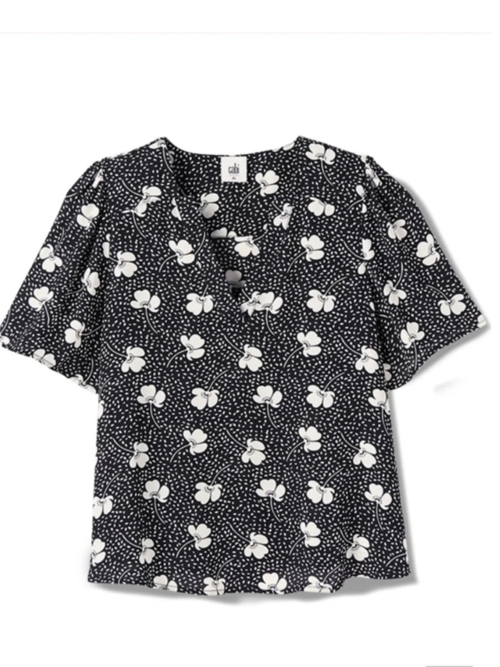 CAbi blouse